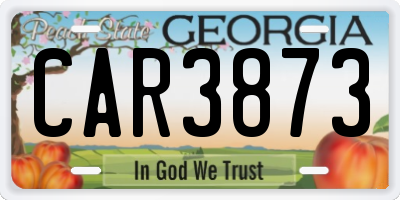 GA license plate CAR3873