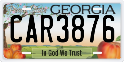 GA license plate CAR3876