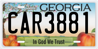 GA license plate CAR3881