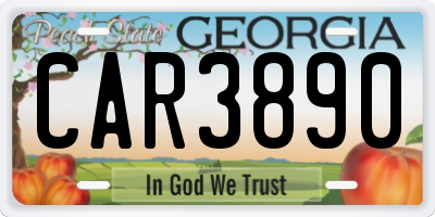 GA license plate CAR3890