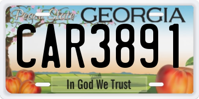 GA license plate CAR3891