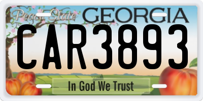 GA license plate CAR3893