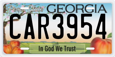 GA license plate CAR3954