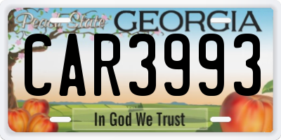 GA license plate CAR3993