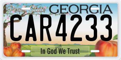 GA license plate CAR4233