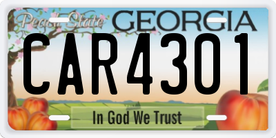 GA license plate CAR4301