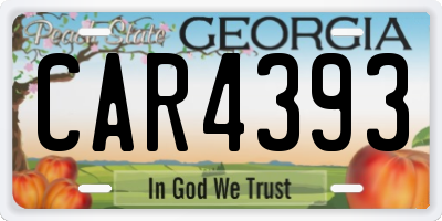 GA license plate CAR4393