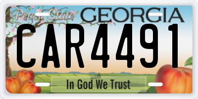 GA license plate CAR4491