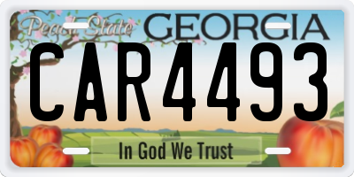 GA license plate CAR4493