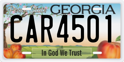 GA license plate CAR4501