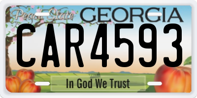 GA license plate CAR4593