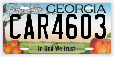 GA license plate CAR4603