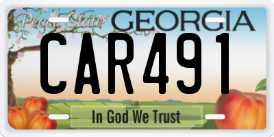 GA license plate CAR491