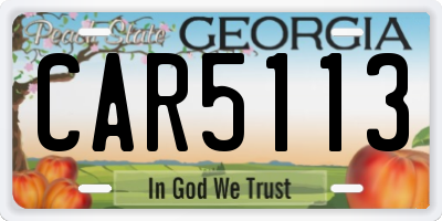 GA license plate CAR5113