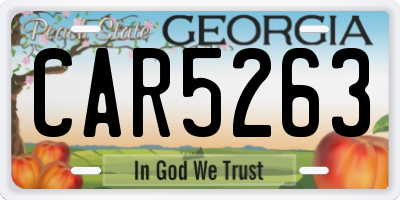 GA license plate CAR5263