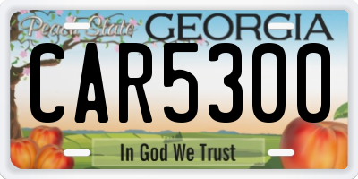 GA license plate CAR5300