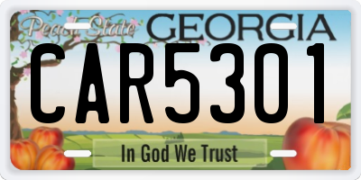 GA license plate CAR5301