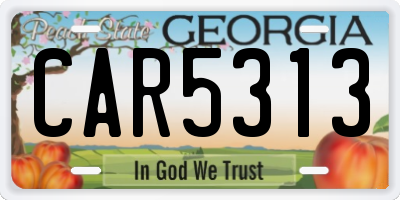 GA license plate CAR5313