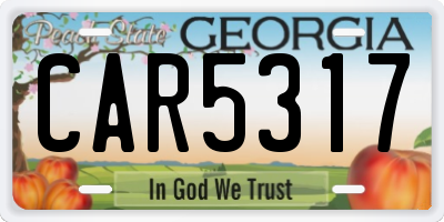 GA license plate CAR5317