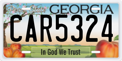 GA license plate CAR5324