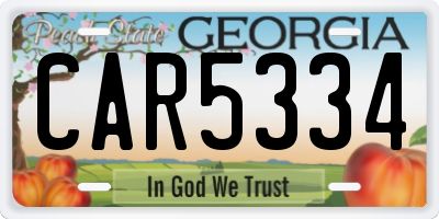 GA license plate CAR5334