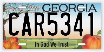 GA license plate CAR5341