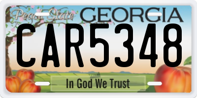 GA license plate CAR5348