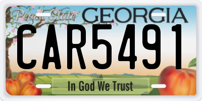 GA license plate CAR5491