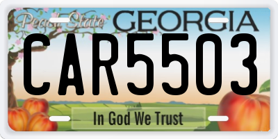 GA license plate CAR5503