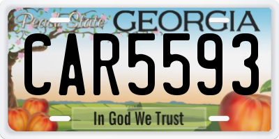 GA license plate CAR5593