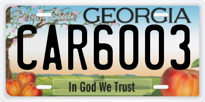 GA license plate CAR6003