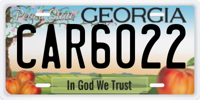 GA license plate CAR6022