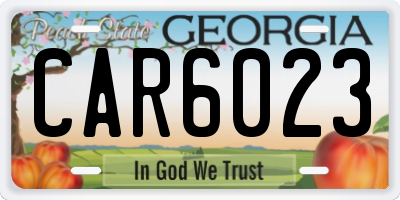 GA license plate CAR6023