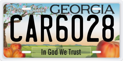 GA license plate CAR6028