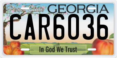 GA license plate CAR6036