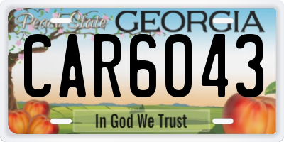 GA license plate CAR6043