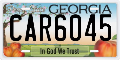 GA license plate CAR6045