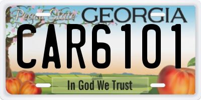 GA license plate CAR6101