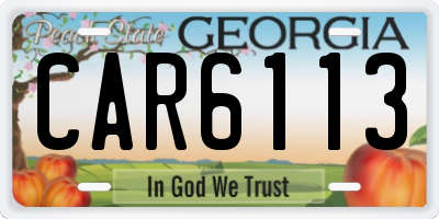 GA license plate CAR6113