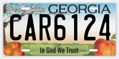 GA license plate CAR6124