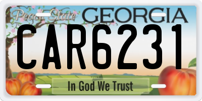 GA license plate CAR6231