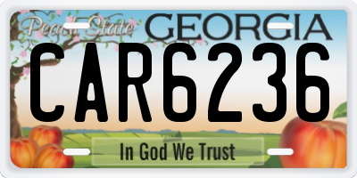 GA license plate CAR6236