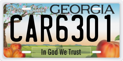 GA license plate CAR6301