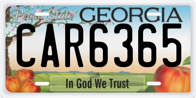 GA license plate CAR6365