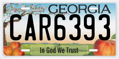 GA license plate CAR6393