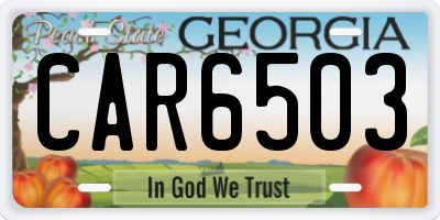 GA license plate CAR6503