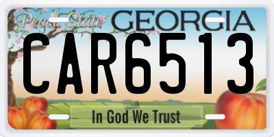 GA license plate CAR6513