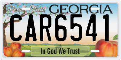 GA license plate CAR6541