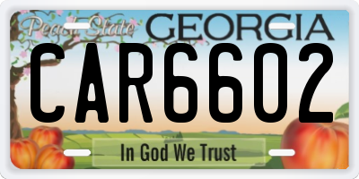 GA license plate CAR6602