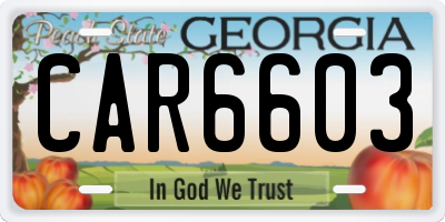 GA license plate CAR6603